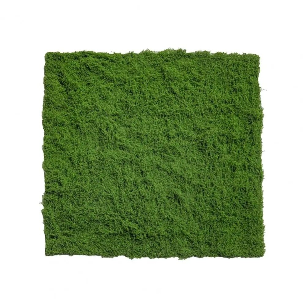 DIY Artificial Grass Rug Durab - огляд і ціна Terrarium Moss Art