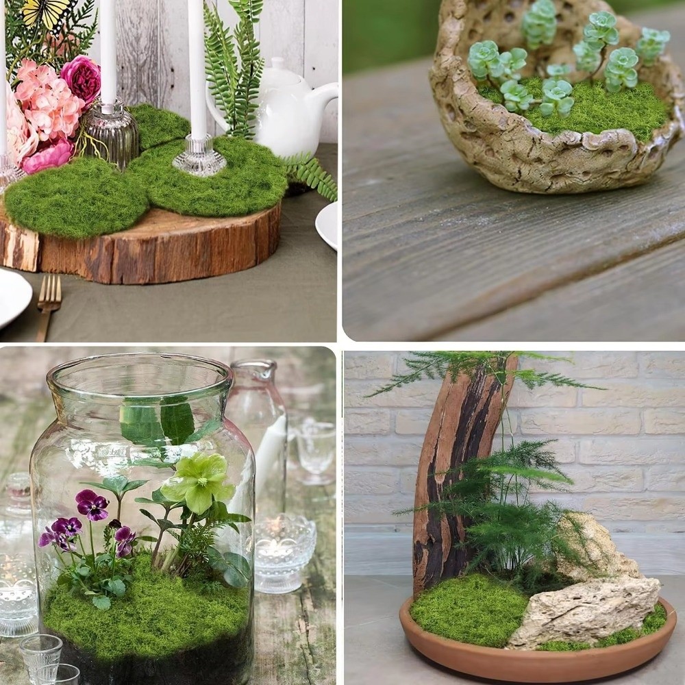 DIY Artificial Grass Rug Durab - огляд і ціна Terrarium Moss Art
