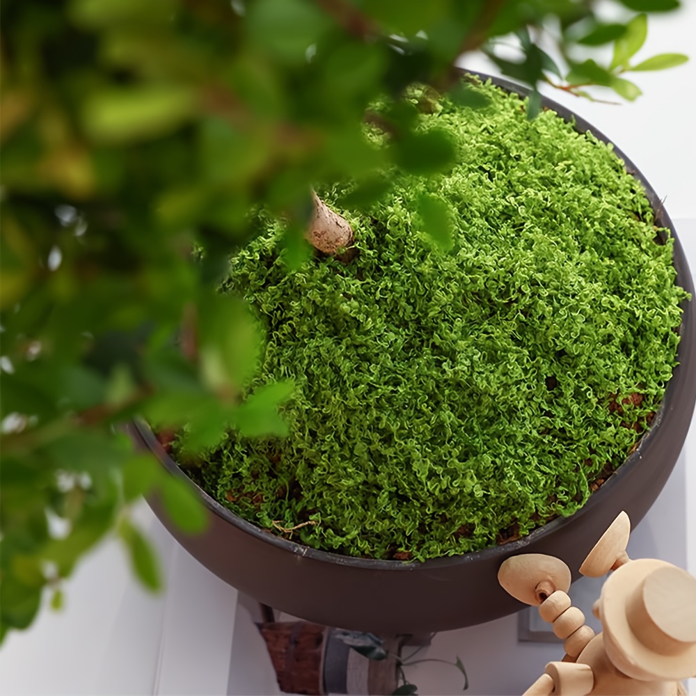 1pack Artificial Fake Moss, 1. - огляд і ціна Terrarium Moss Art