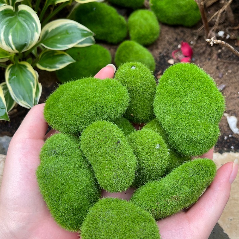 5/30pcs Simulation Moss Stone  - огляд і ціна Terrarium Moss Art