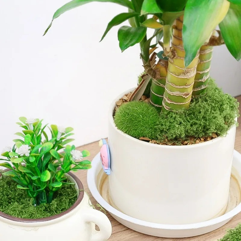30/300G Artificial Realistic M - огляд і ціна Terrarium Moss Art