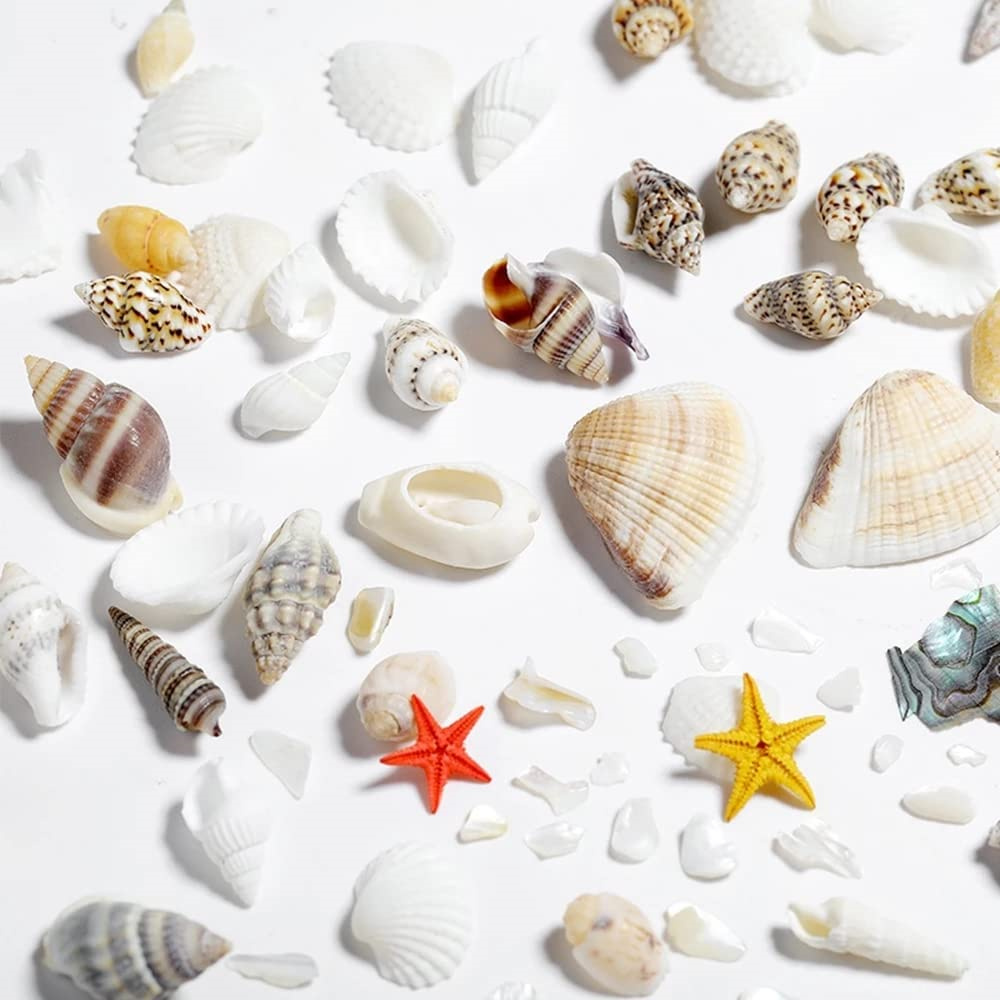 1Box Sea Shells Pearl Resin Fi - огляд і ціна Resin Ocean Wave Mold